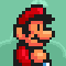 Super Flash Mario Bros Icon