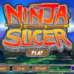 Ninja Slicer Screenshot